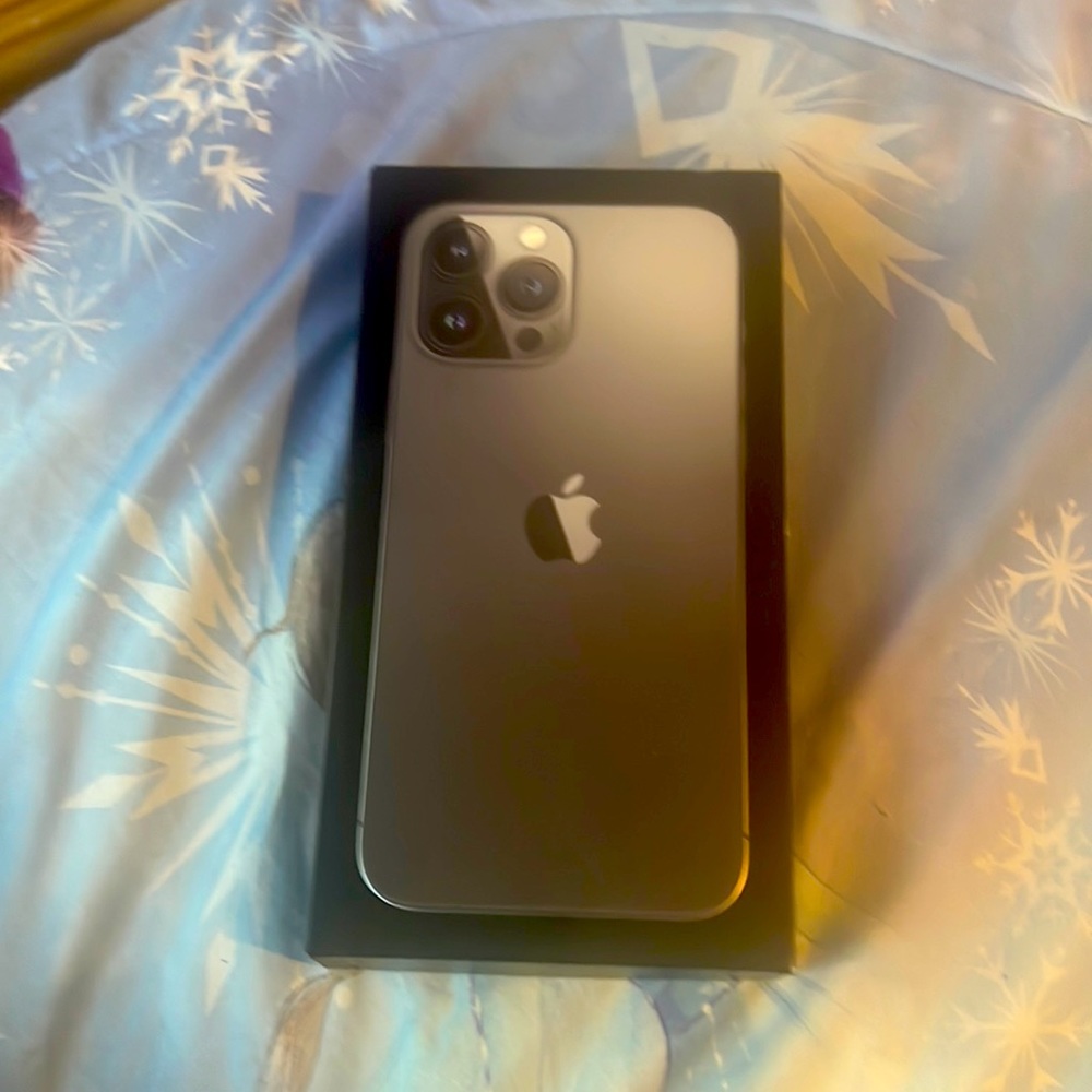 iPhone 13 Pro Max